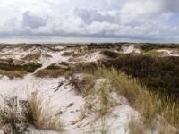 Dänemark - Dueodde Dünen Panorama / Bornholm